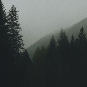 Meet your Posher, Daniela